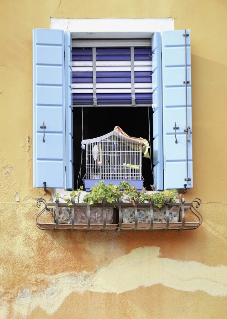 BAMBOO CHICK FOR BALCONY