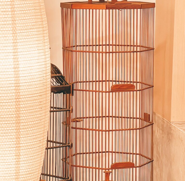 photo-1677412239973-a4aabd43b5fa